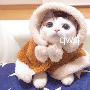 男生边摸🐻边亲cb
