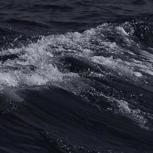 男生边摸🐻边亲cb
